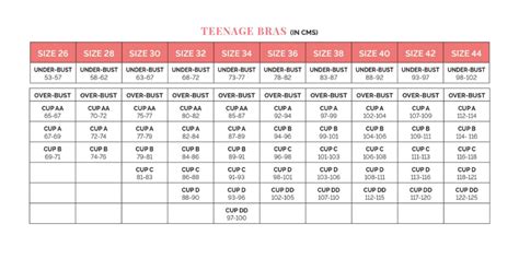 zivame bra panty|zivame bra size chart.